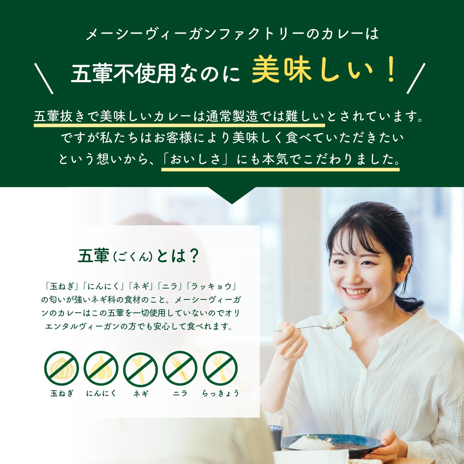 メーシー ヴィーガンカレー 200g×6袋 【卵・乳・小麦粉不使用/グルテンフリー/贈答用・ギフトにも】