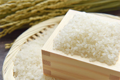 【9月末まで特別価格】ピロール米（国産自然栽培コシヒカリ）5kg