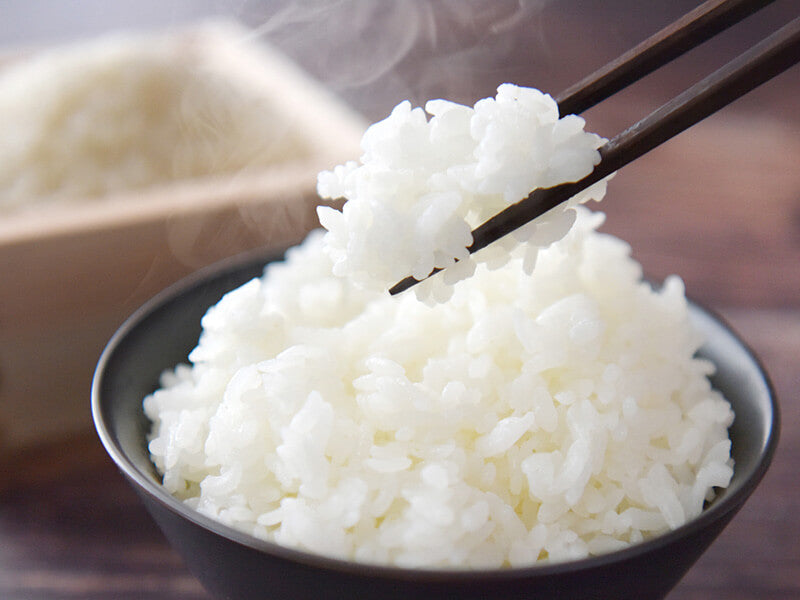 【9月末まで特別価格】ピロール米（国産自然栽培コシヒカリ）5kg