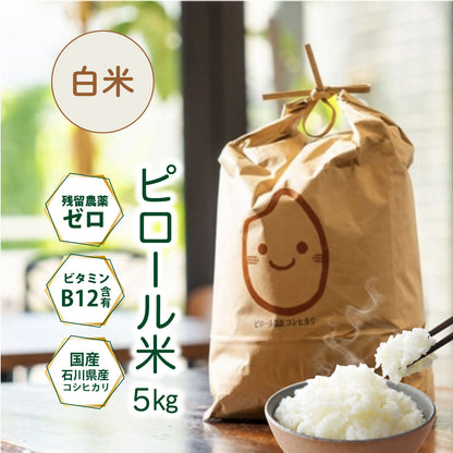 【期間限定特価】ビタミンB12含有 国産コシヒカリ 白米 5kg 残留農薬不検出 ピロール農法 令和7年産 ヴィーガン ピロール米 精米