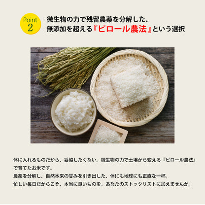 【期間限定特価】ビタミンB12含有 国産コシヒカリ 白米 5kg 残留農薬不検出 ピロール農法 令和7年産 ヴィーガン ピロール米 精米