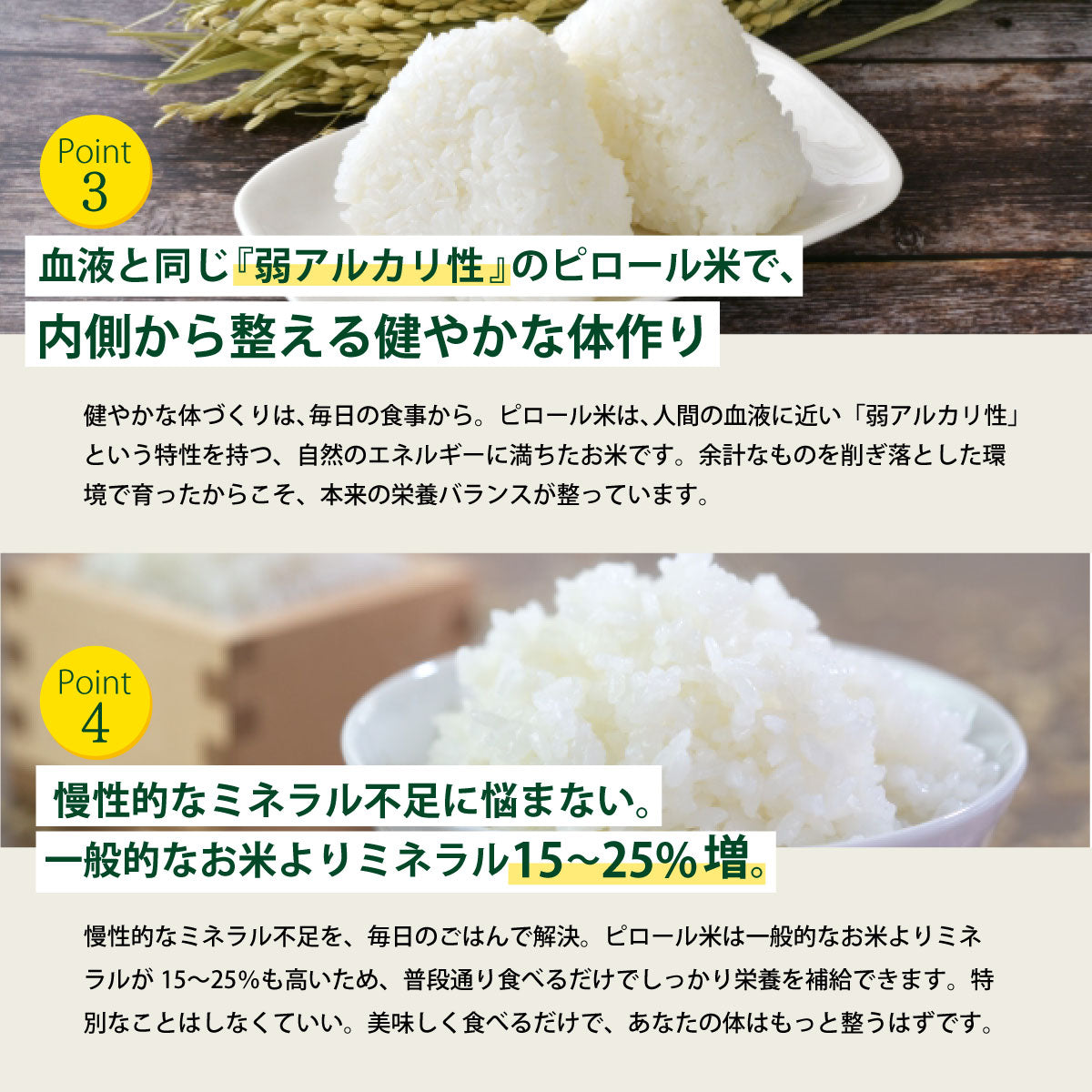 【期間限定特価】ビタミンB12含有 国産コシヒカリ 白米 5kg 残留農薬不検出 ピロール農法 令和7年産 ヴィーガン ピロール米 精米