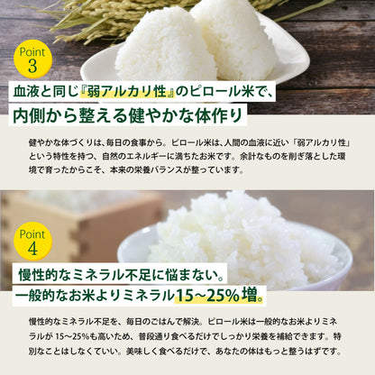 【期間限定特価】ビタミンB12含有 国産コシヒカリ 白米 5kg 残留農薬不検出 ピロール農法 令和7年産 ヴィーガン ピロール米 精米