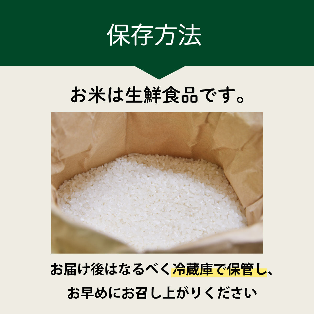 【期間限定特価】ビタミンB12含有 国産コシヒカリ 白米 5kg 残留農薬不検出 ピロール農法 令和7年産 ヴィーガン ピロール米 精米