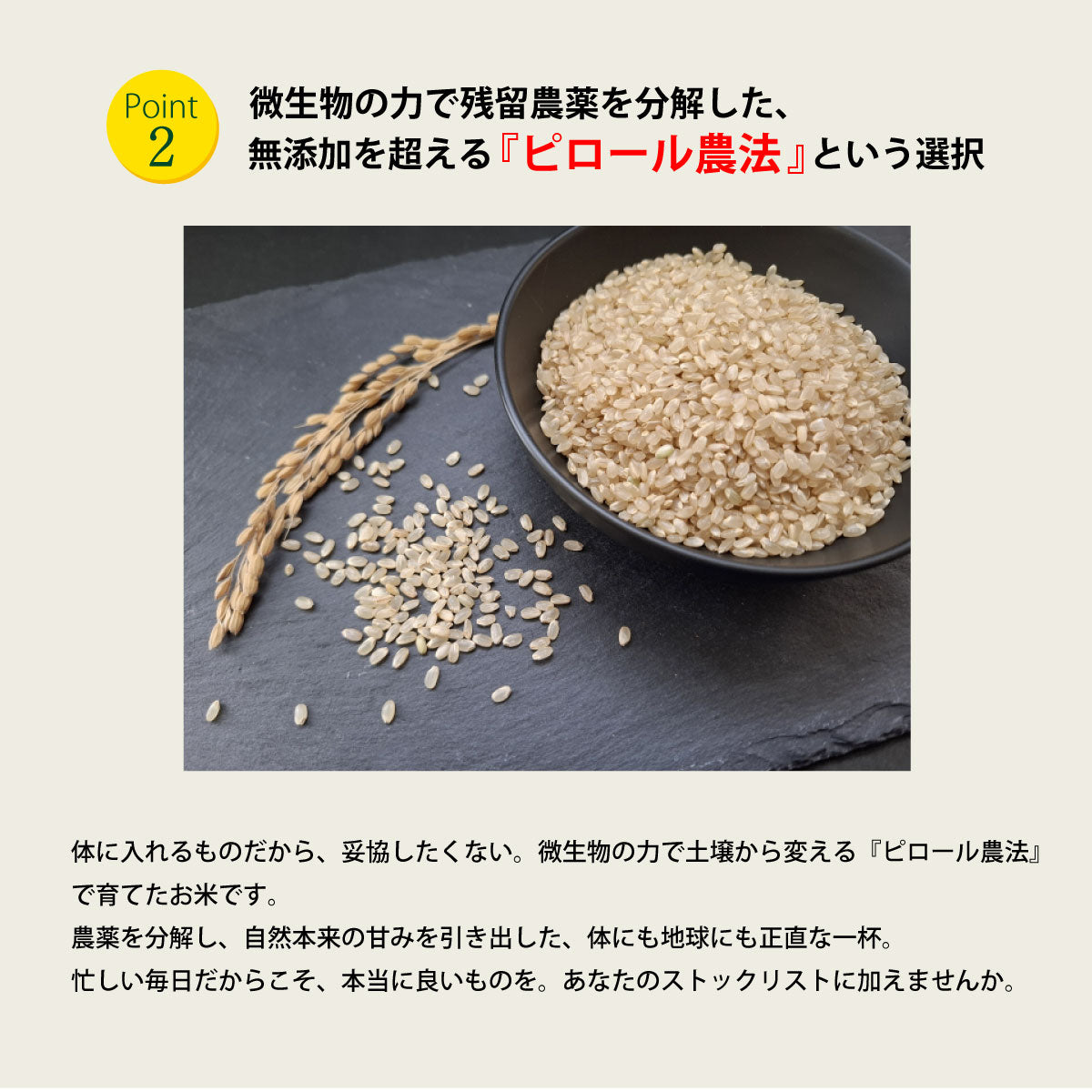【期間限定特価】ビタミンB12含有 国産コシヒカリ 玄米 5kg 残留農薬不検出 ピロール農法 令和7年産 ヴィーガン ピロール米
