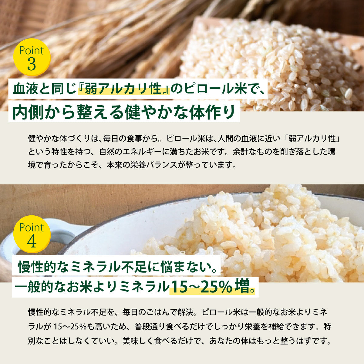 【期間限定特価】ビタミンB12含有 国産コシヒカリ 玄米 5kg 残留農薬不検出 ピロール農法 令和7年産 ヴィーガン ピロール米