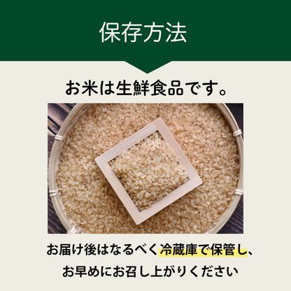 【期間限定特価】ビタミンB12含有 国産コシヒカリ 玄米 5kg 残留農薬不検出 ピロール農法 令和7年産 ヴィーガン ピロール米